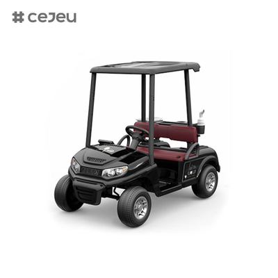 CJ-390 (πολύ χώρος για δύο καθίσματα), 12V10AH*1, #550*2, 2.4G, μουσική, usb, mp3, κάρο γκολφ με πολλαπλές επιλογές χρωμάτων